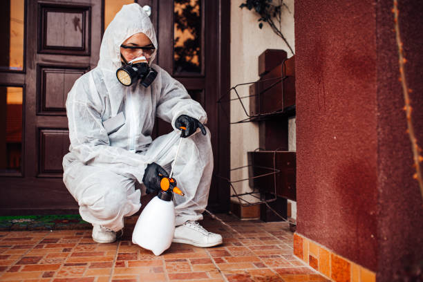 Reliable Ant Control contractor in Umatilla, FL by Show Me Pest Control